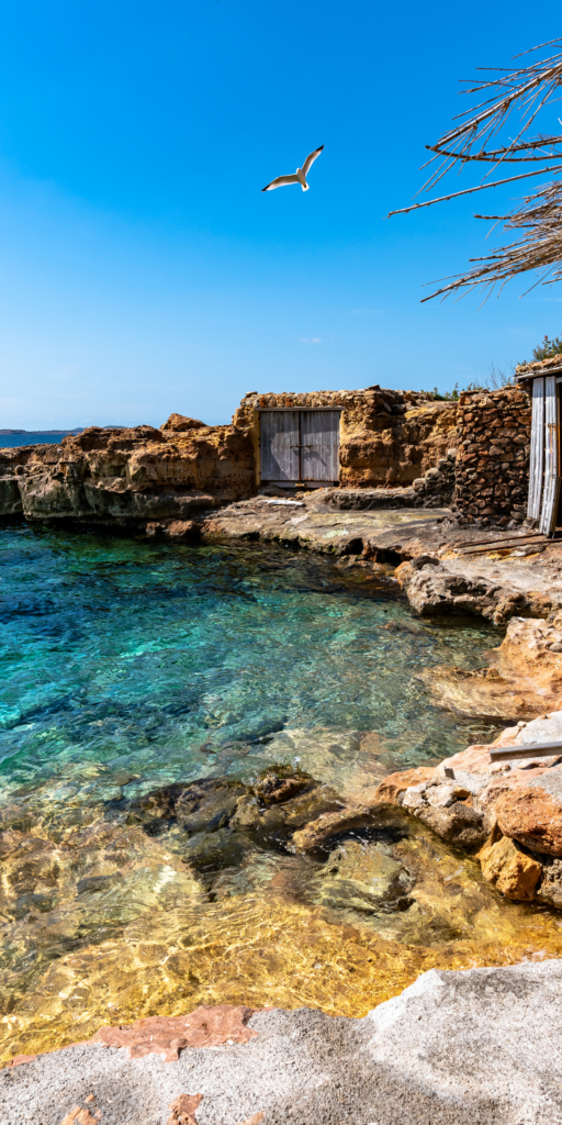 À propos Photos A Propos2 512x1024